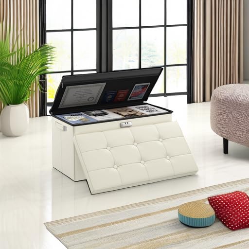 DocSafe Storage Ottoman with Lock,Fireproof Folding Ottoman Foot Rest Stool Storage Chest with Storage Safe for Important Documents,Waterproof 17 Inches Short Ottoman Foot Stool with Handles,Black