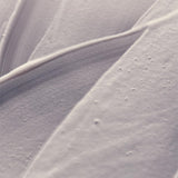 Aesop Geranium Leaf Body Cleanser | For All Skin Types To Cleanse Without Drying Out | Geranium Leaf, Mandarin Rind, Bergamot Rind | 16.9 oz / 500mL