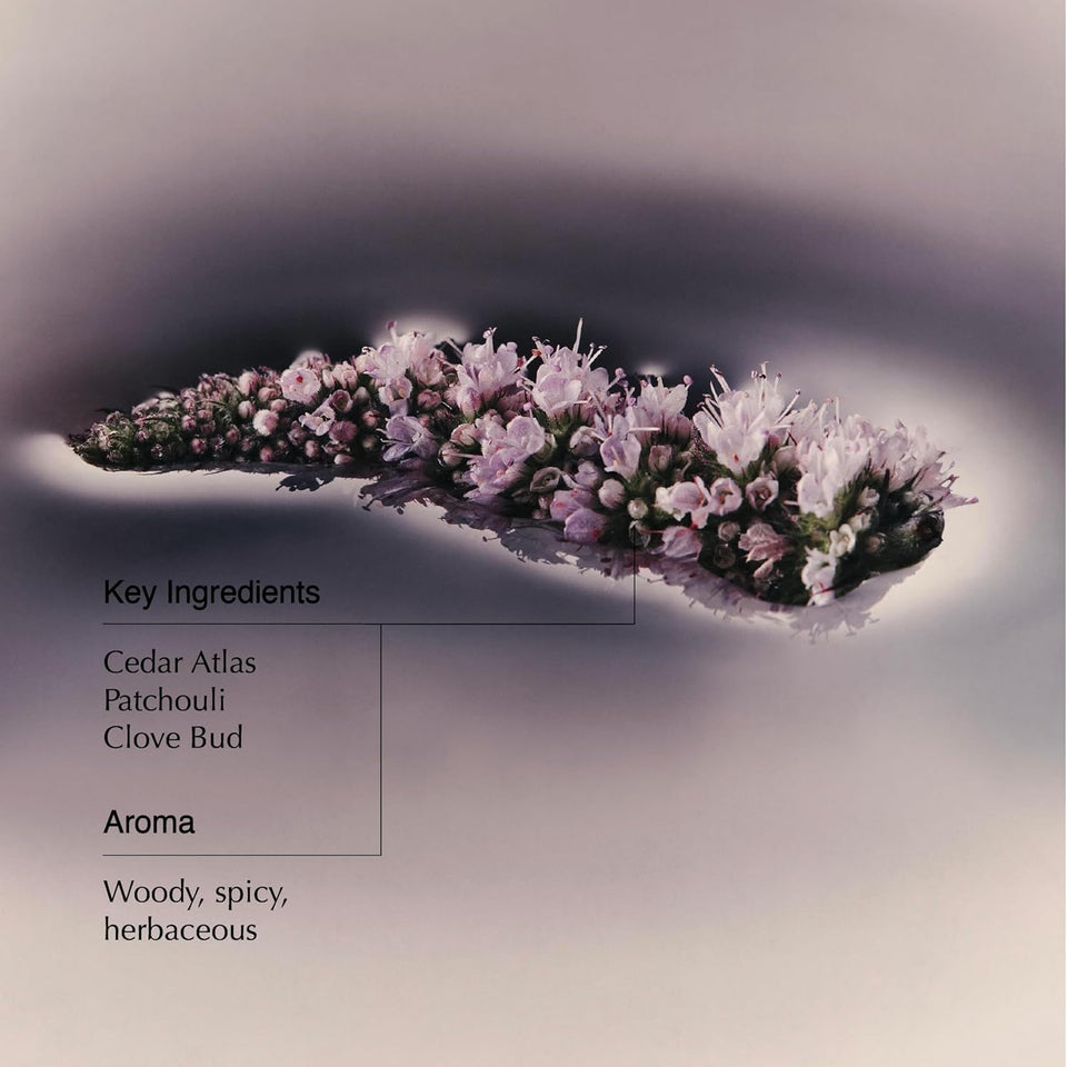 Aesop Geranium Leaf Body Cleanser | For All Skin Types To Cleanse Without Drying Out | Geranium Leaf, Mandarin Rind, Bergamot Rind | 16.9 oz / 500mL