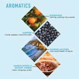 Jack Black Turbo Wash Energizing Body & Hair Cleanser, 33 Fl Oz – Rosemary, Eucalyptus & Juniper Berry – Mens Body Wash, Mens Shampoo, Skin Care, Hair Care, Dual-Purpose Body Wash Men, Sulfate–Free