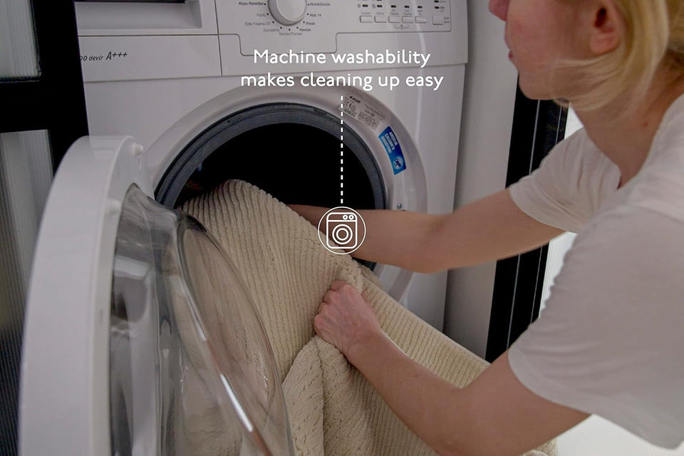 Revival Rugs Shell 5'3"x7'10" Washable Area Rug for Living Room Bedroom - 100% Recycled Oeko-TEX Certified, Medium Pile, Beige, Cream