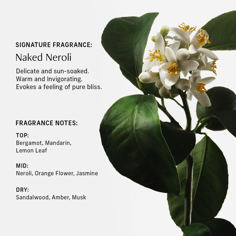 CYKLAR Sensorial Body Wash. Vanilla Verve Hydrating Cleanser with Moisture Locking Multi-Oil Complex, Sodium PCA and Glycerin. Nourishing Shower Gel for Women and Men, 16.5 Fl Oz Luxury Bodywash