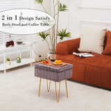 Wimarsbon Storage Ottoman, Vanity Stools with Metal Legs, 16.5" x 11.8" x 18" Modern Faux Mink Fur Footstool, Makeup Chair with Anti-Slip Feet, Accent Table,Footrest,Storage Bench for Bedroom