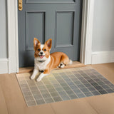 Neutral Living Room Rug - 10x14 Farmhouse Beige Brown Large Area Rug for Dining Room, Bedroom, Low Pile Lightweight Washable