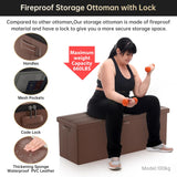 DocSafe Storage Ottoman with Lock,Fireproof Folding Ottoman Foot Rest Stool Storage Chest with Storage Safe for Important Documents,Waterproof 17 Inches Short Ottoman Foot Stool with Handles,Black