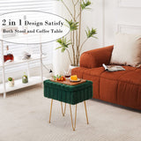 Wimarsbon Storage Ottoman, Vanity Stools with Metal Legs, 16.5" x 11.8" x 18" Modern Faux Mink Fur Footstool, Makeup Chair with Anti-Slip Feet, Accent Table,Footrest,Storage Bench for Bedroom