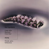 Aesop Geranium Leaf Body Cleanser | For All Skin Types To Cleanse Without Drying Out | Geranium Leaf, Mandarin Rind, Bergamot Rind | 16.9 oz / 500mL