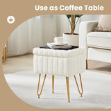 DUMOS Vanity Stool Chair, Ottoman with Storage, Makeup Cute Soft Small Footstool, Modern Style Faux Fur Seat with 4 Metal Legs & Adjustable Feet for Dressing, Living Room, Bedroom, Dorm, Grey