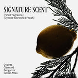 Nécessaire The Body Wash Eucalyptus — Multi-Oil Shower Gel Cleanser for Women + Men — Non-Comedogenic Body Wash with Niacinamide. 500ml/16.9 fl oz