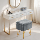 DUMOS Vanity Stool Chair, Ottoman with Storage, Makeup Cute Soft Small Footstool, Modern Style Faux Fur Seat with 4 Metal Legs & Adjustable Feet for Dressing, Living Room, Bedroom, Dorm, Grey