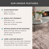 Neutral Living Room Rug - 10x14 Farmhouse Beige Brown Large Area Rug for Dining Room, Bedroom, Low Pile Lightweight Washable