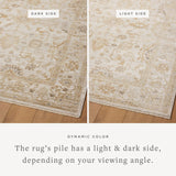 Loloi Magnolia Home by Joanna Gaines Pace Collection PAC-01 Natural/Stone 9'-6" x 12'-3" Area Rug