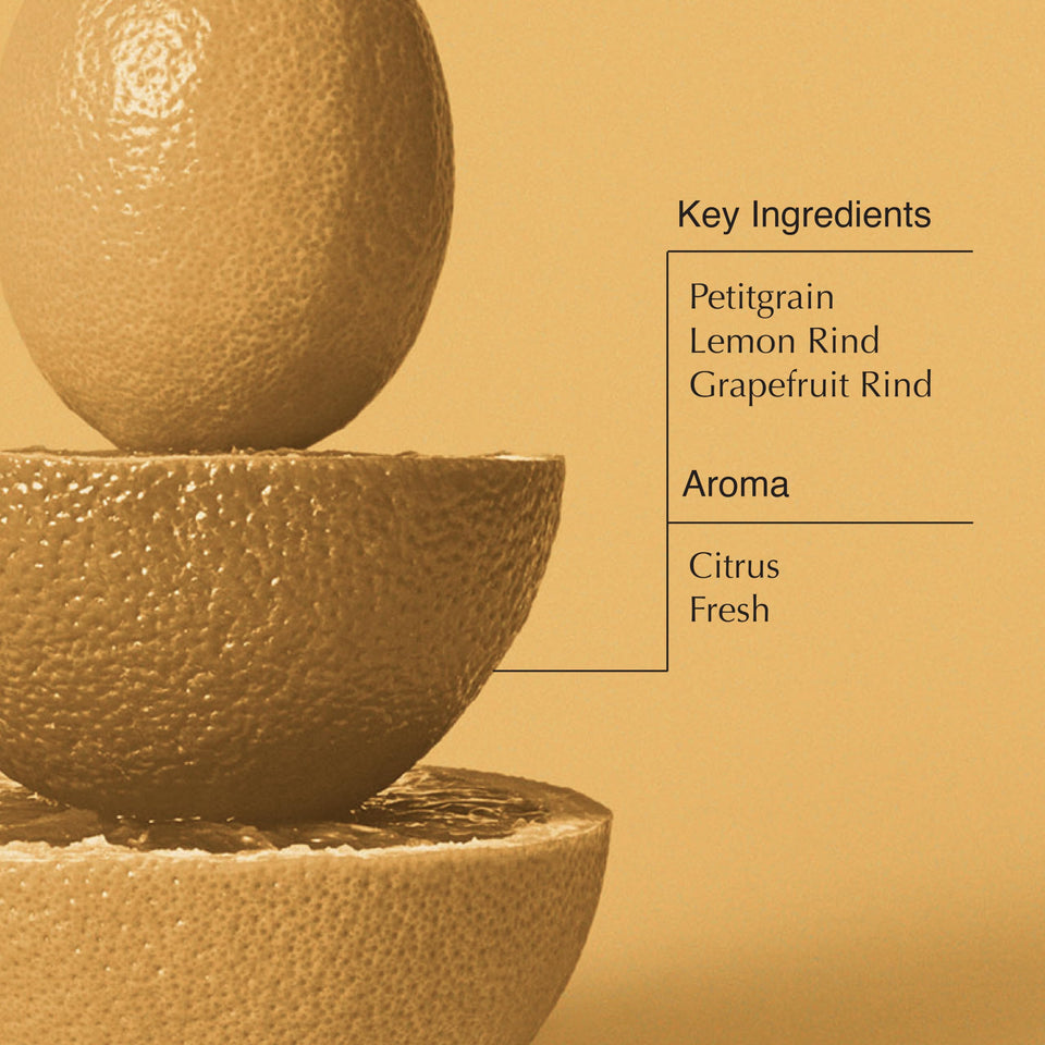 Aesop Geranium Leaf Body Cleanser | For All Skin Types To Cleanse Without Drying Out | Geranium Leaf, Mandarin Rind, Bergamot Rind | 16.9 oz / 500mL