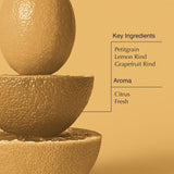 Aesop Geranium Leaf Body Cleanser | For All Skin Types To Cleanse Without Drying Out | Geranium Leaf, Mandarin Rind, Bergamot Rind | 16.9 oz / 500mL