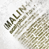 Malin + Goetz Rum Hand & Body Wash, 16 Fl. Oz. – Men & Women Natural Body Wash For All Skin Types, Foaming Hydrating Cleansing Gel, Cruelty-Free & Vegan