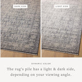 Loloi Amber Lewis Alie Collection ALE-03 Taupe/Dove 7'-10'' x 10', .13'' Pile Height, Area Rug