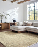 Livabliss x Galey Alix Fetscher V Vintage Damask Area Rug, 7'10" x 10' (8' x 10'), Dusy Sage