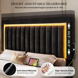 YITAHOME King Size Bed Frame with Adjustable Headboard, 4 Storage Drawers and RGB LED Lights, Velvet Upholstered Platform Bed with USB Ports, No Box Spring Needed, Fast Assembly, Noise-Free, Black